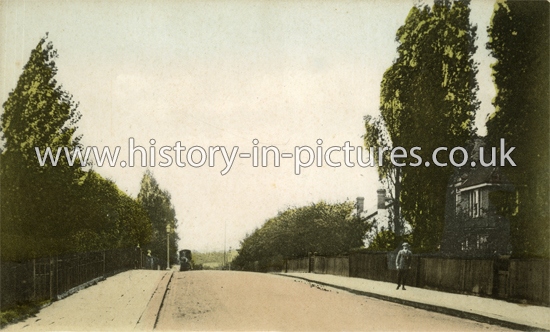 Castle Avenue, Highams Park, Chingford, London. c.1906.